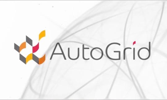 AutoGrid - Virtual Power Plants